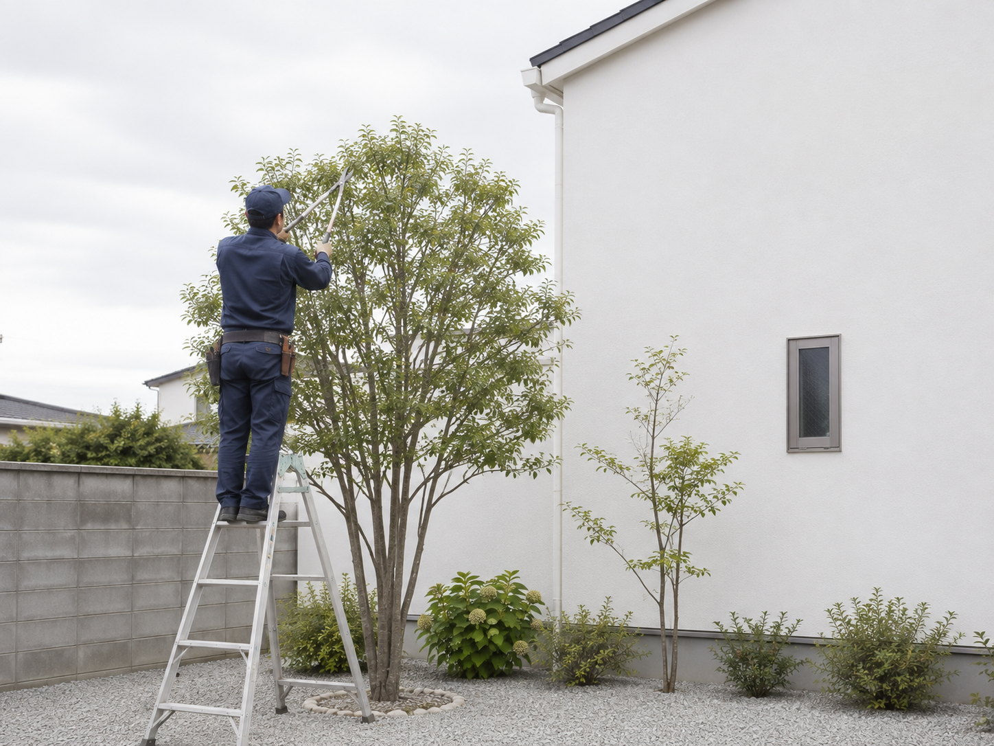 脚立に乗って高い位置の枝を剪定する職人の後ろ姿のイメージ画像